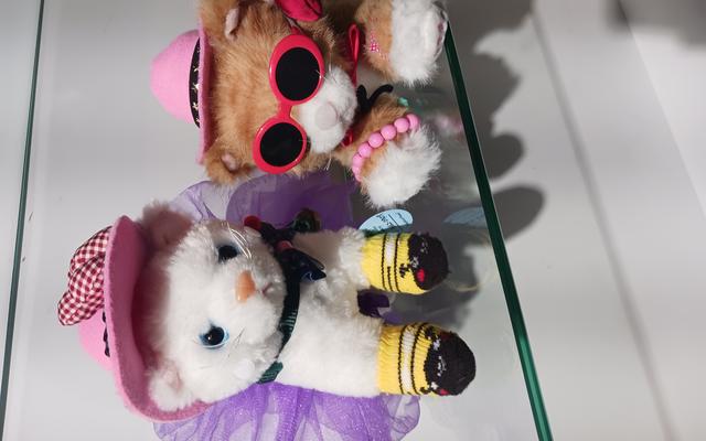 리뷰 대표 이미지