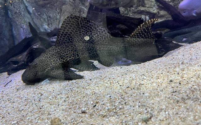 리뷰 대표 이미지