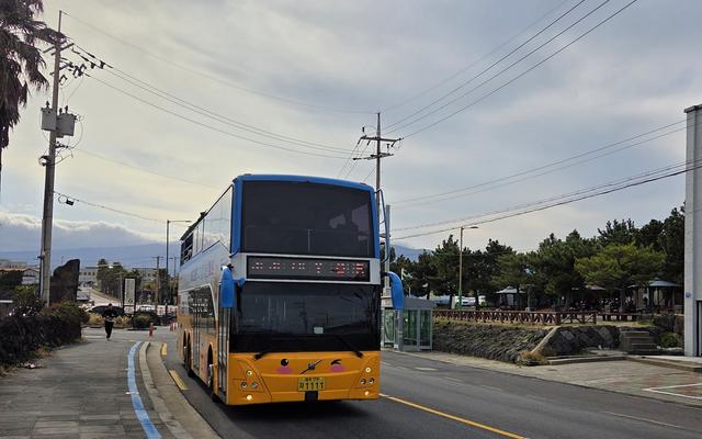 리뷰 대표 이미지