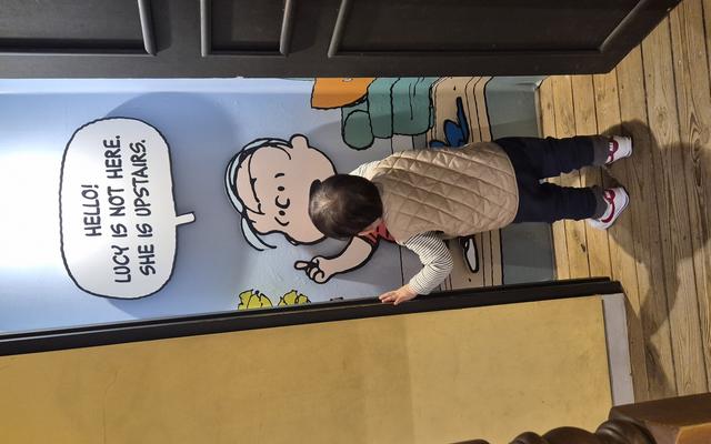 리뷰 대표 이미지