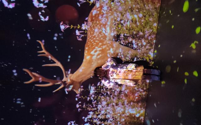 리뷰 대표 이미지