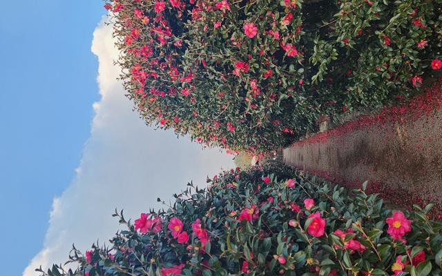 리뷰 대표 이미지