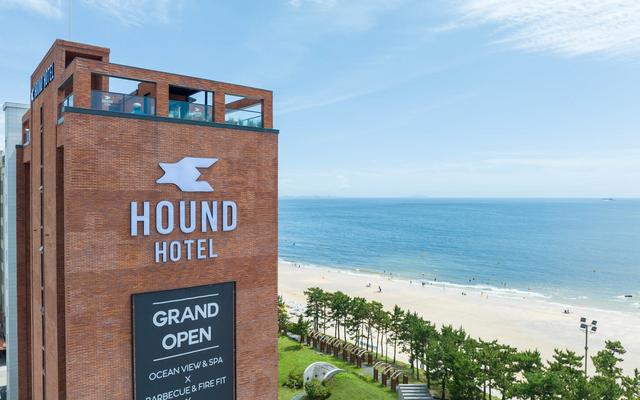 하운드호텔 대천해수욕장