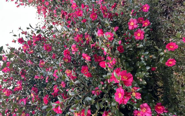 리뷰 대표 이미지