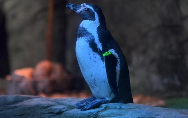 리뷰 대표 이미지