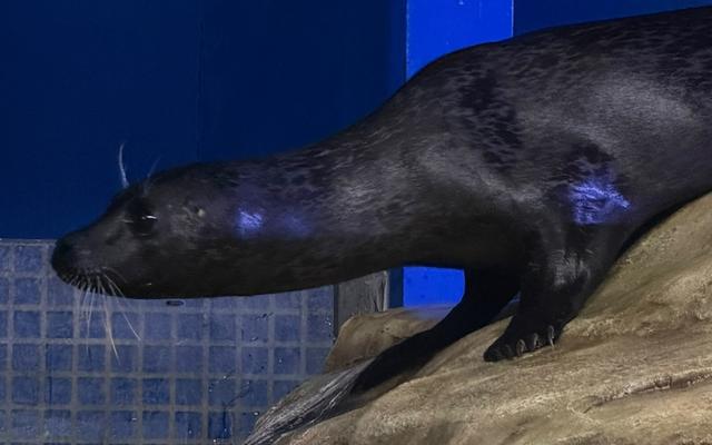 리뷰 대표 이미지