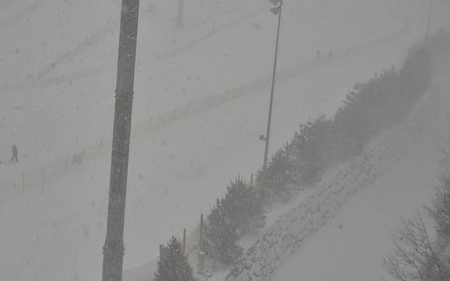 리뷰 대표 이미지