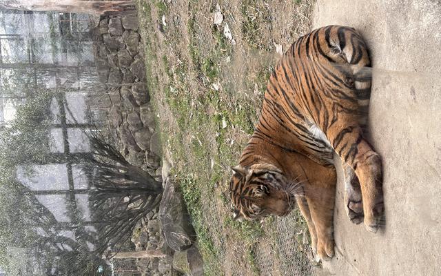 리뷰 대표 이미지