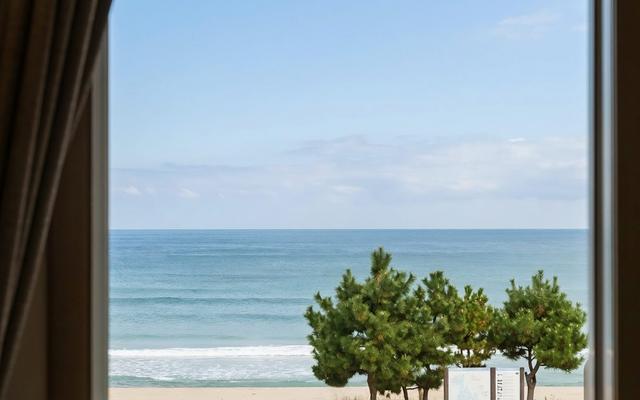 양양 해뜨는창문 애견동반 오션뷰 펜션