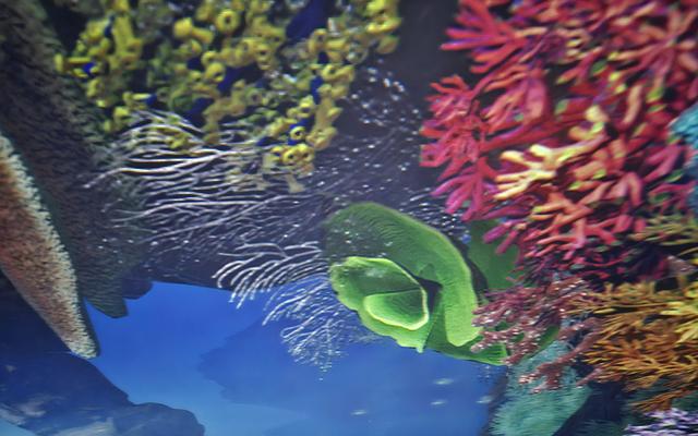 리뷰 대표 이미지