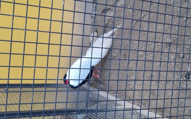 리뷰 대표 이미지