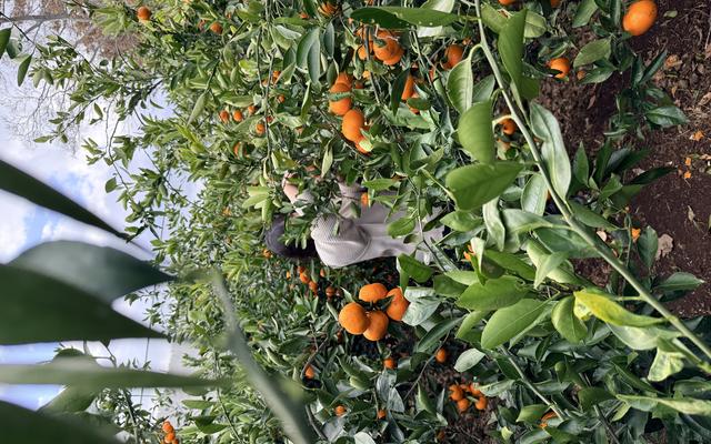 리뷰 대표 이미지