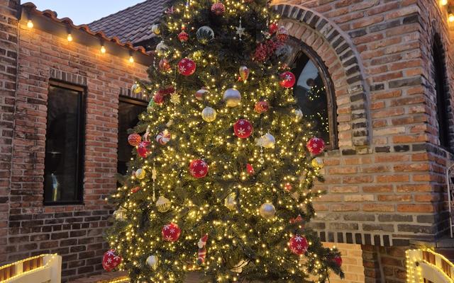 리뷰 대표 이미지