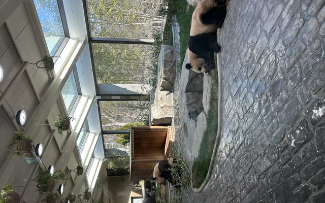 리뷰 대표 이미지