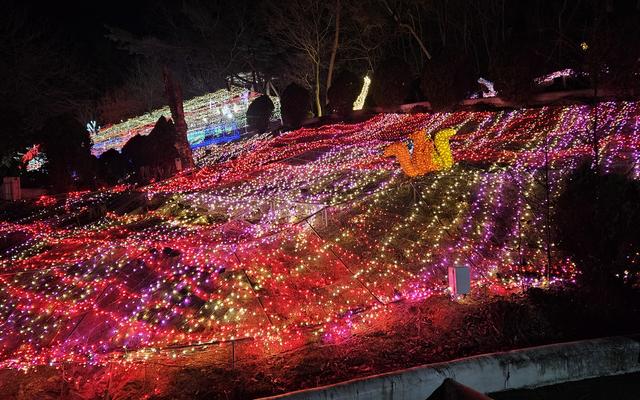 리뷰 대표 이미지