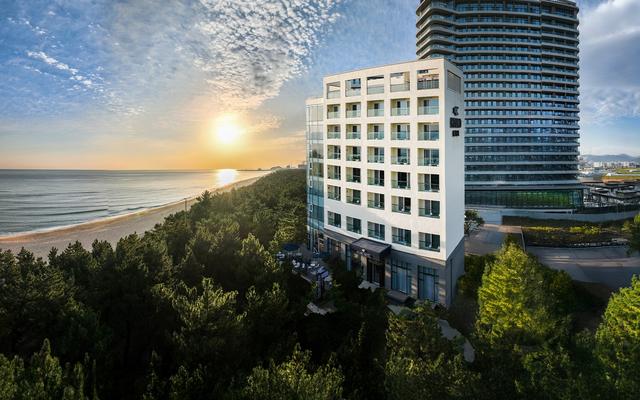 호텔하운드 강릉경포