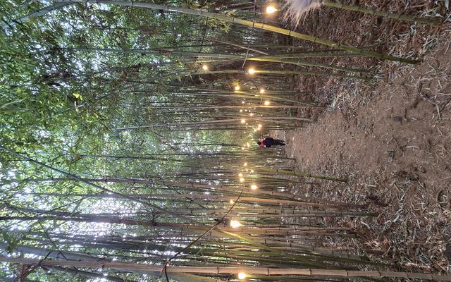 리뷰 대표 이미지