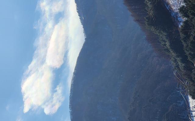 리뷰 대표 이미지