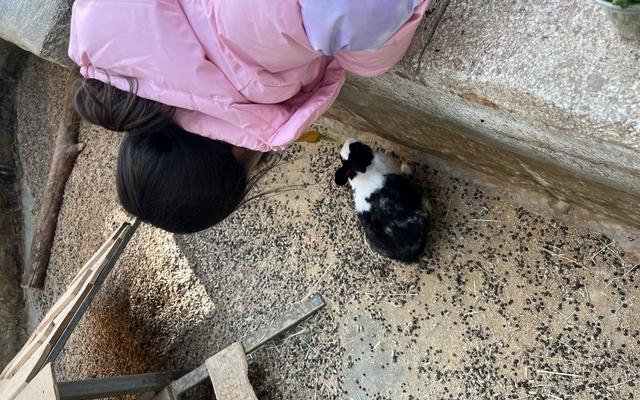 리뷰 대표 이미지