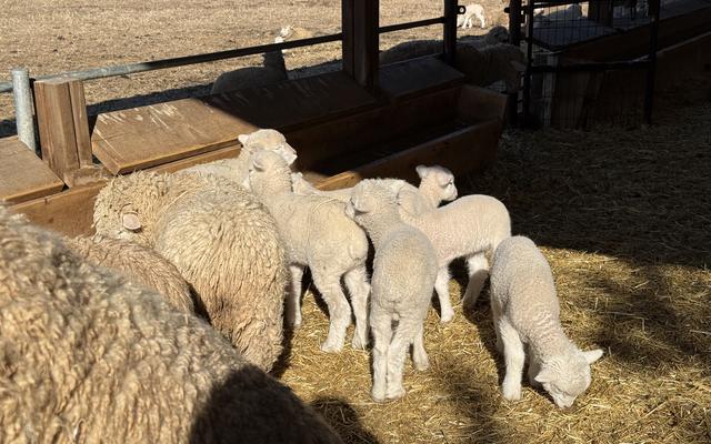 리뷰 대표 이미지