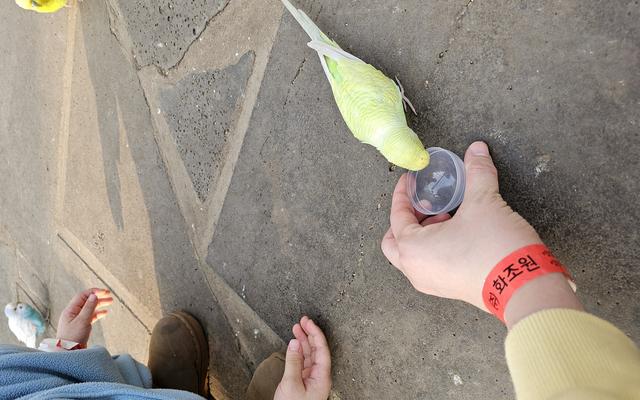 리뷰 대표 이미지