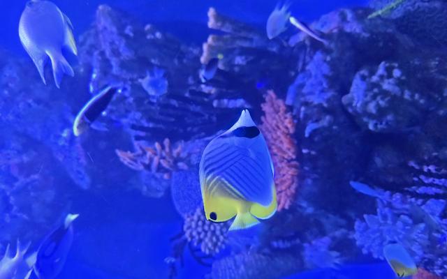 리뷰 대표 이미지