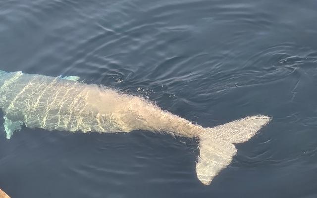 리뷰 대표 이미지