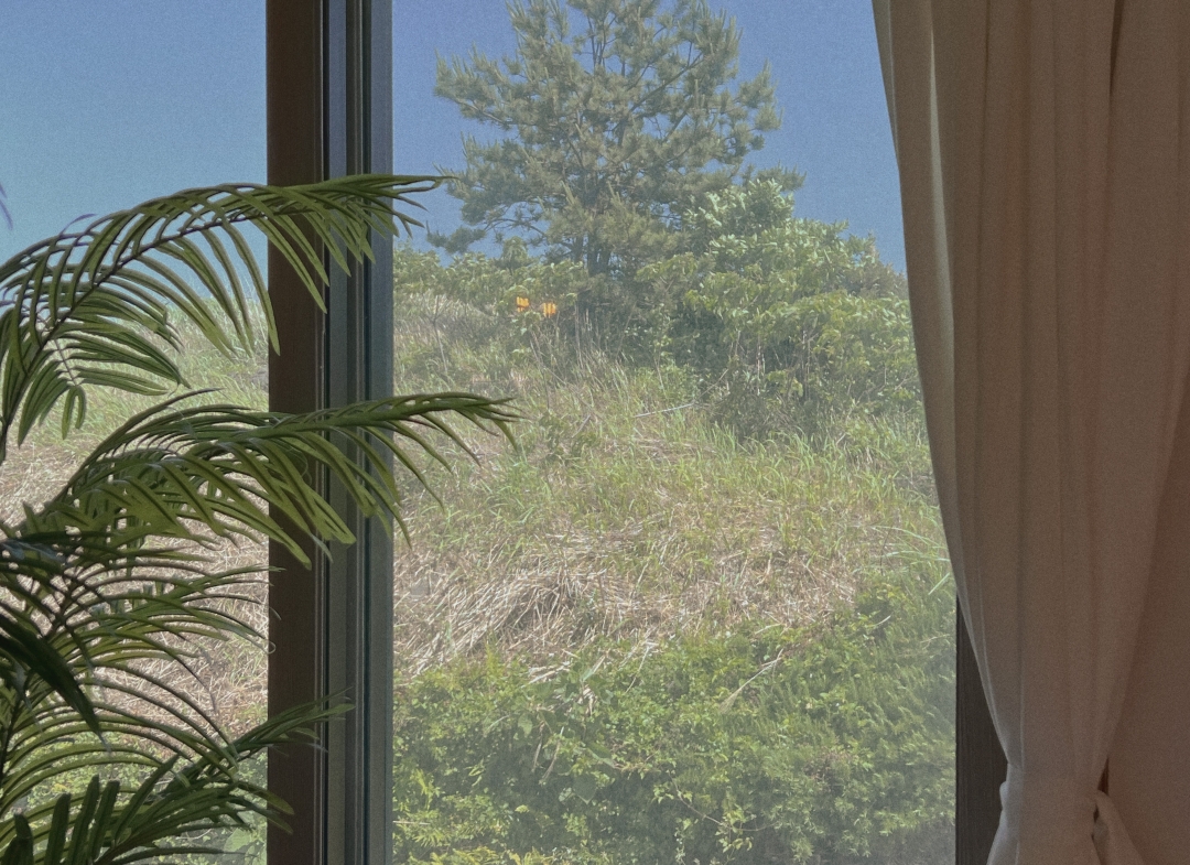 제주 바다너머집(해변점) 썸네일4