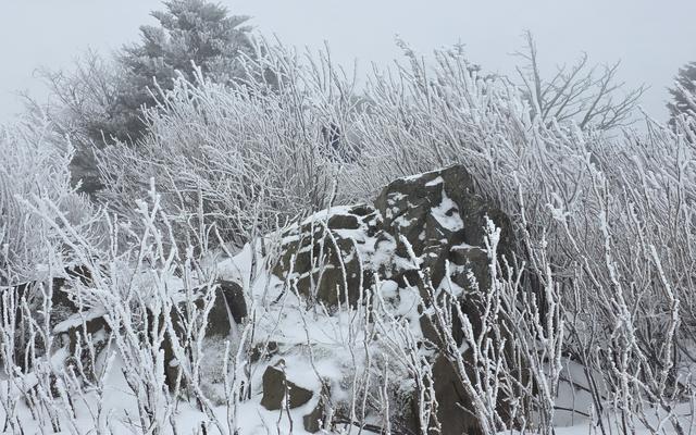 리뷰 대표 이미지