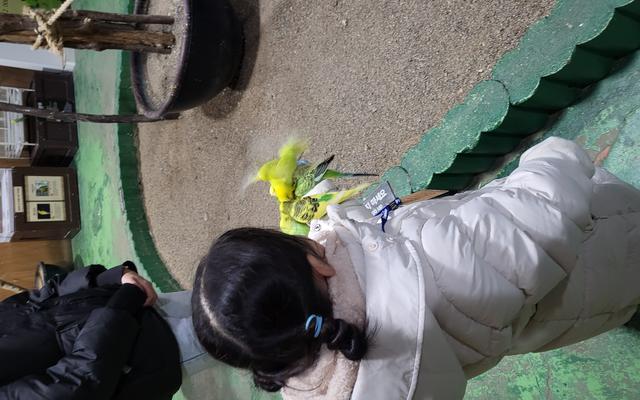 리뷰 대표 이미지