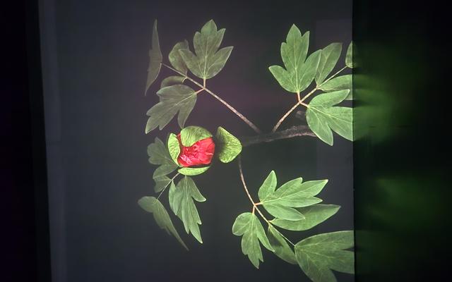 리뷰 대표 이미지