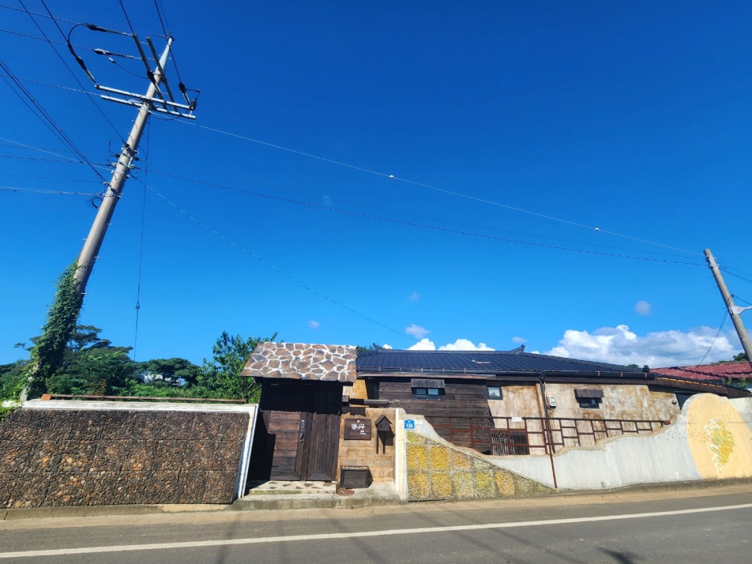 제주 팽나무1949 이미지1