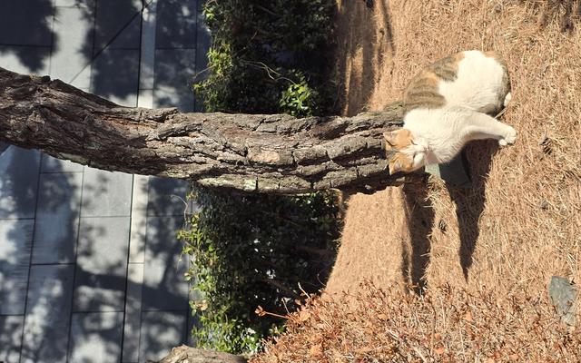 리뷰 대표 이미지