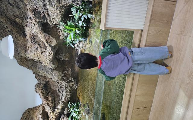 리뷰 대표 이미지