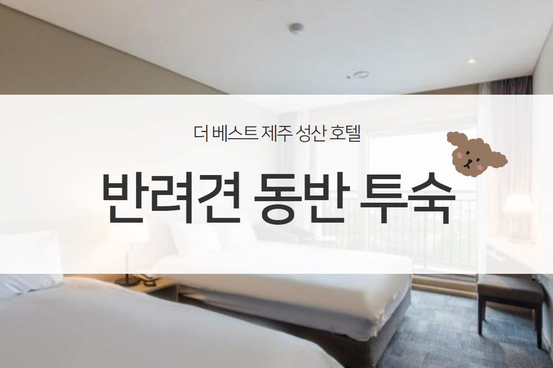  PET-F  With Pet - 디럭스 더블+싱글(스누피가든 2인티켓 PKG★반려견 1마리 동반)