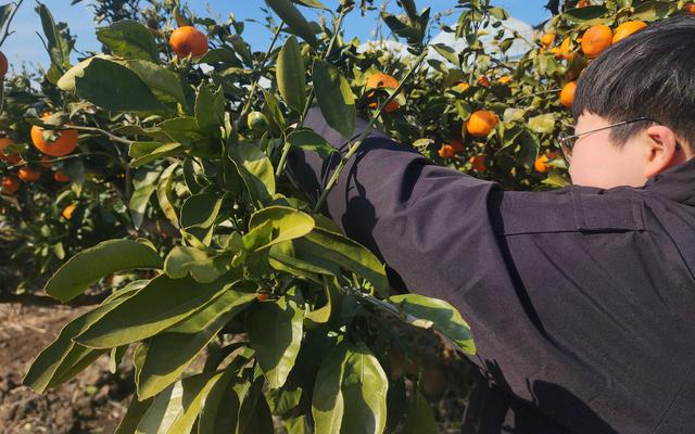 리뷰 대표 이미지