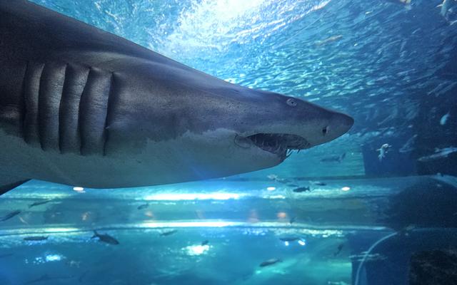 리뷰 대표 이미지