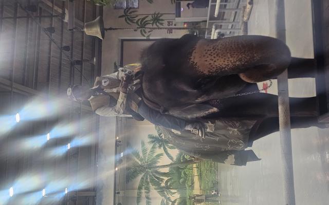 리뷰 대표 이미지