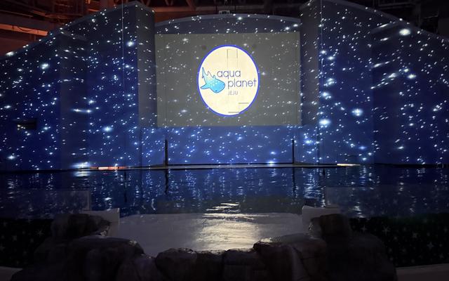 리뷰 대표 이미지