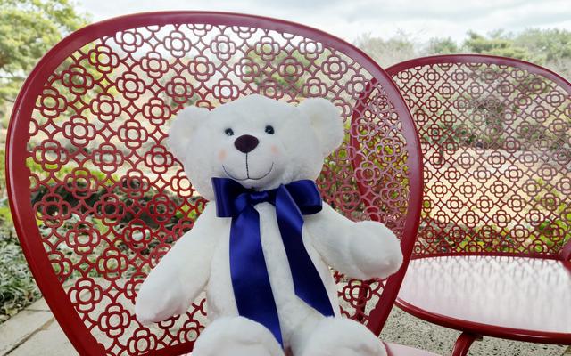 리뷰 대표 이미지