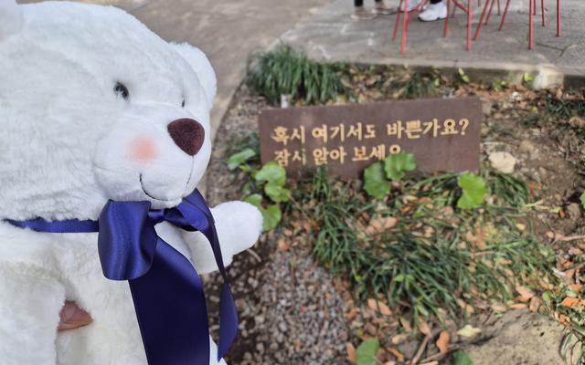 리뷰 대표 이미지