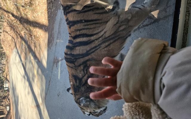 리뷰 대표 이미지