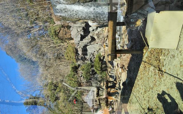 리뷰 대표 이미지