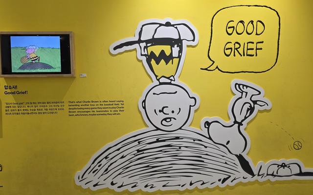 리뷰 대표 이미지