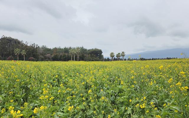 리뷰 대표 이미지