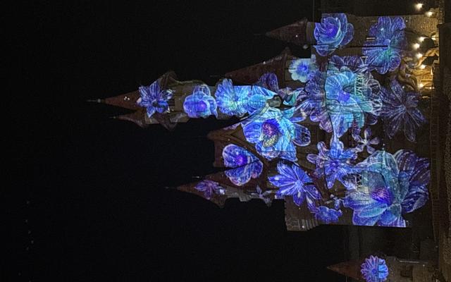 리뷰 대표 이미지