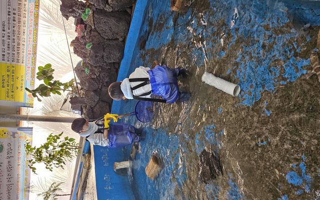 리뷰 대표 이미지