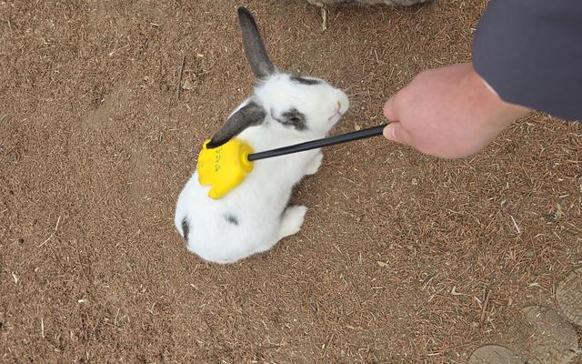 리뷰 대표 이미지