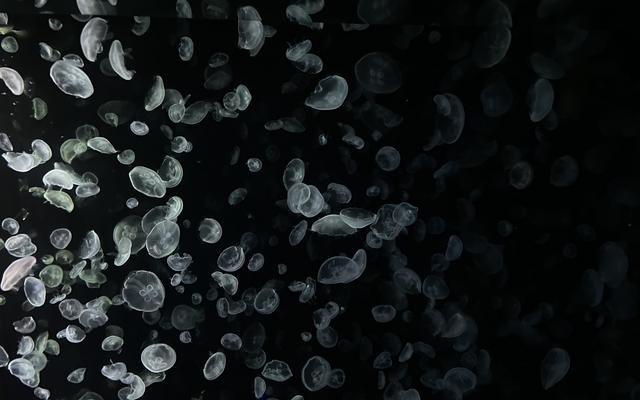 리뷰 대표 이미지