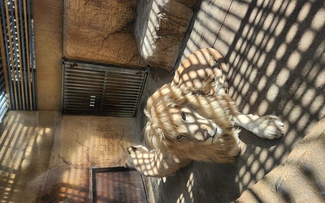 리뷰 대표 이미지